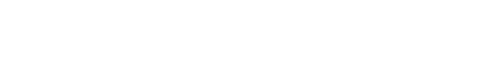 Euler Dynamics